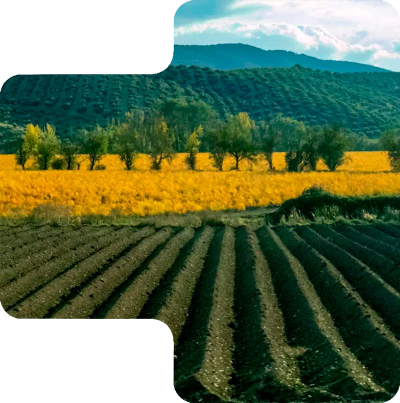 Envase agropecuario AEVAE