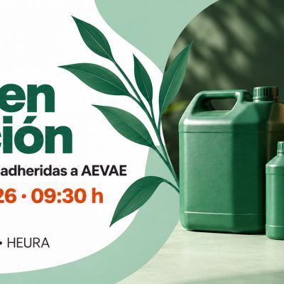 webinar-aevae-27-de-octubre-2026
